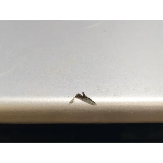 Porton Trasero para Citroën C4 Picasso
