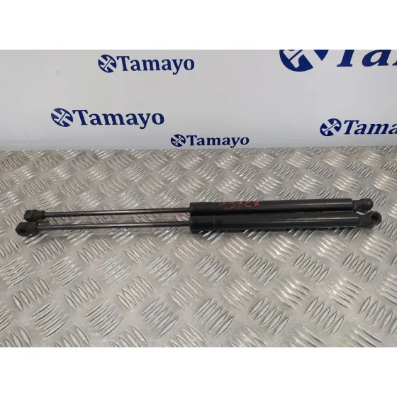 Amortiguadores Maletero / Porton para Opel Corsa F
