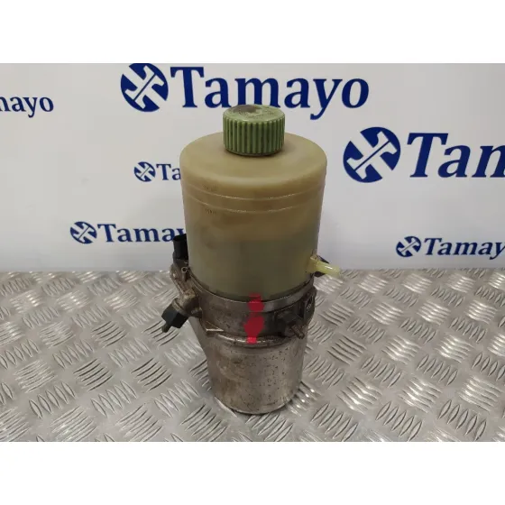 Bomba Direccion para Seat Ibiza (6L1)