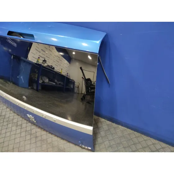 Porton Trasero para Peugeot 1007