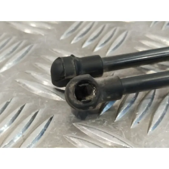 Amortiguadores Maletero / Porton para Ford Ka (Ccu)