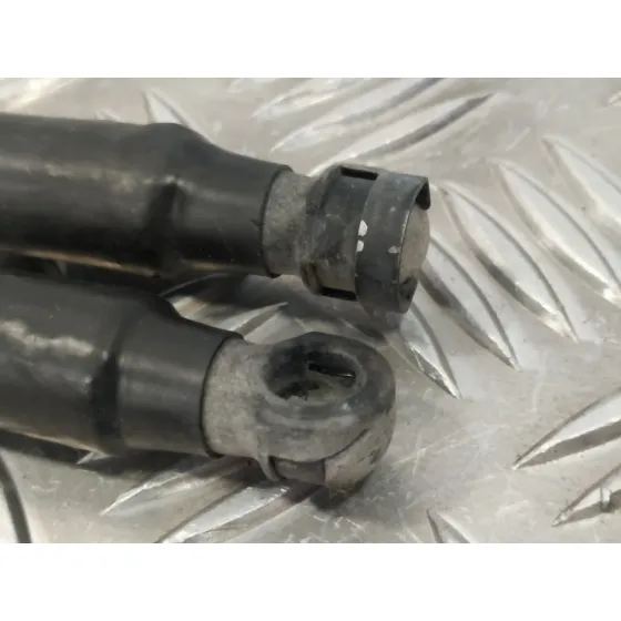 Amortiguadores Maletero / Porton para Ford Ka (Ccu)
