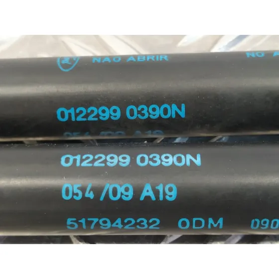 Amortiguadores Maletero / Porton para Ford Ka (Ccu)
