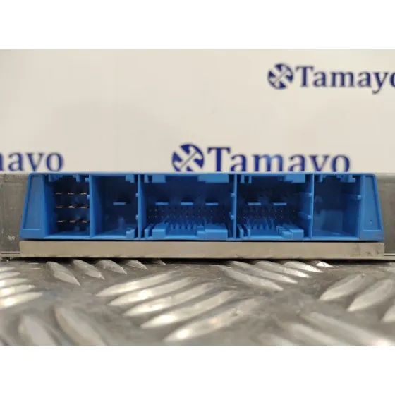 Centralita Cambio Automatico para Bmw Serie 5 Berlina (E39)