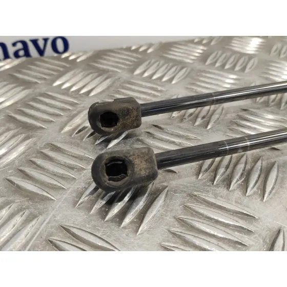 Amortiguadores Maletero / Porton para Ford Kuga (Cbv)
