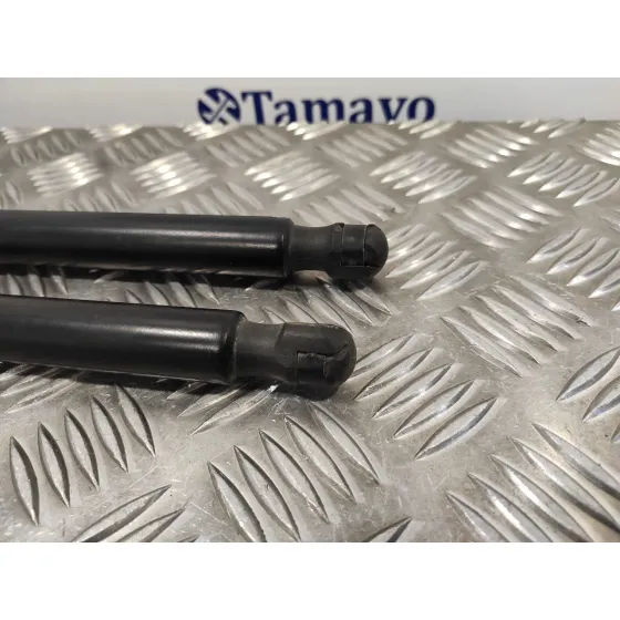 Amortiguadores Maletero / Porton para Ford Kuga (Cbv)