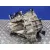 Caja Cambios para Hyundai I30 (Gd)
