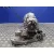 Caja Cambios Automatica para Bmw X1 (E84)