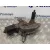 Motor Limpia Delantero para Citroën C4 Picasso