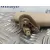 Parasol Izquierdo para Bmw X1 (E84)