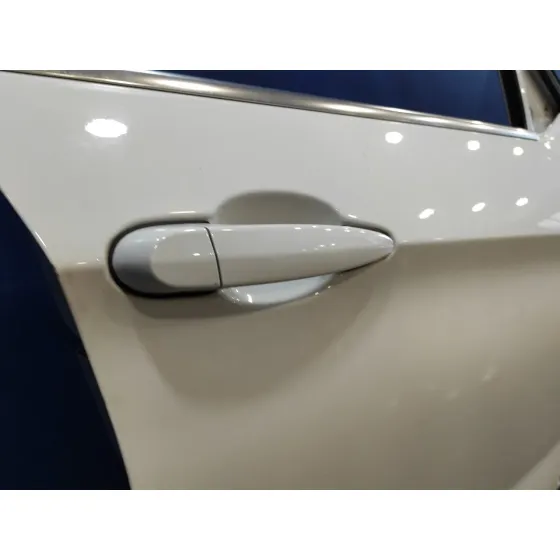 Puerta Delantera Derecha para Bmw X1 (E84)