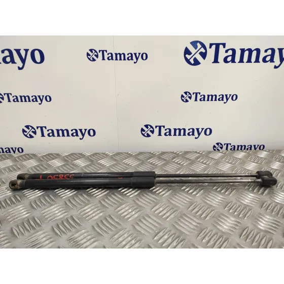 Amortiguadores Maletero / Porton para Hyundai I30 (Gd)