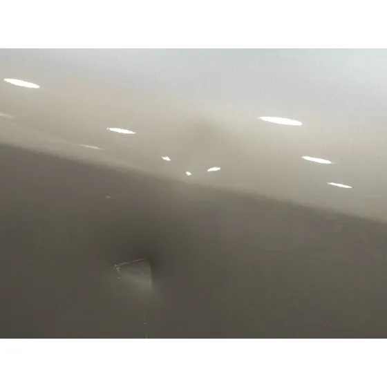 Puerta Delantera Derecha para Mercedes-Benz Clase M (W164)