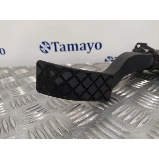 Potenciometro Acelerador para Seat Leon Sc (5F5)