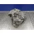 Caja Cambios para Seat Leon (1P1)