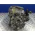 Caja Cambios para Nissan Primera Berlina (P12)