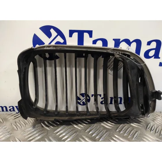 Rejilla Paragolpes Izquierda para Bmw Serie 3 Berlina (E46)