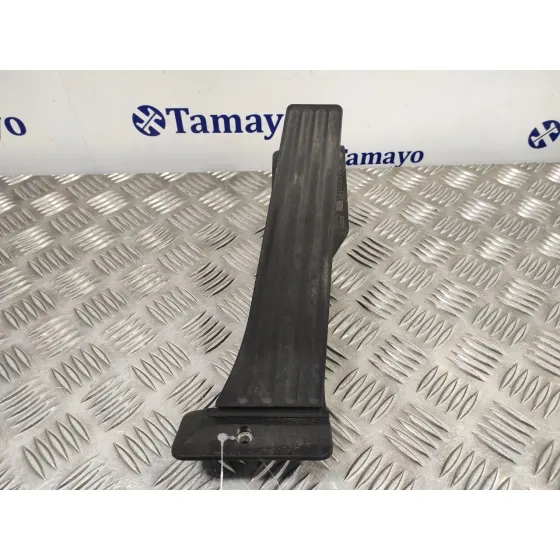 Potenciometro Acelerador para Bmw X1 (E84)