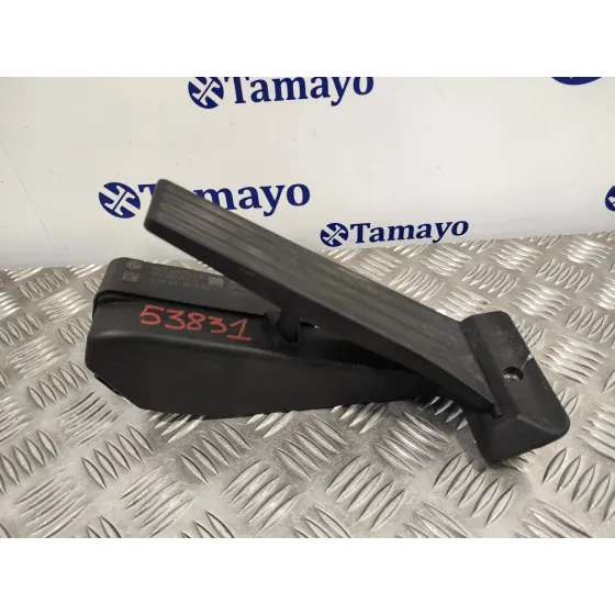 Potenciometro Acelerador para Bmw X1 (E84)