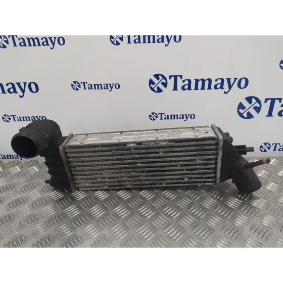 Intercooler para Citroën C8
