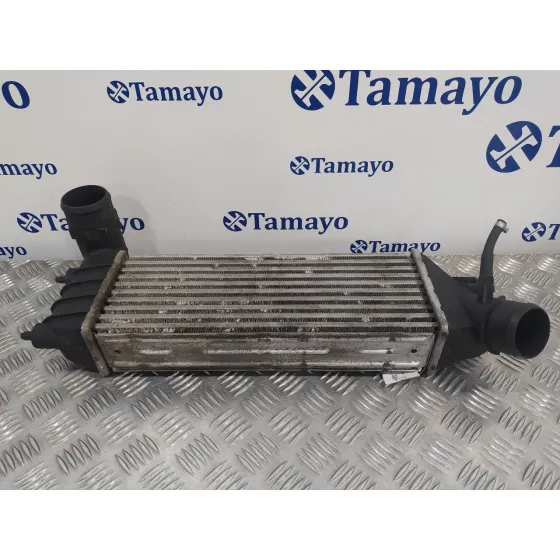 Intercooler para Citroën C8