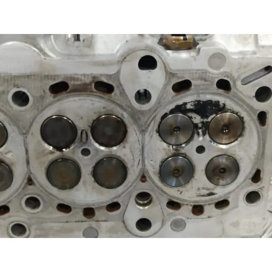 Culata para Bmw Serie 3 Berlina (E46)