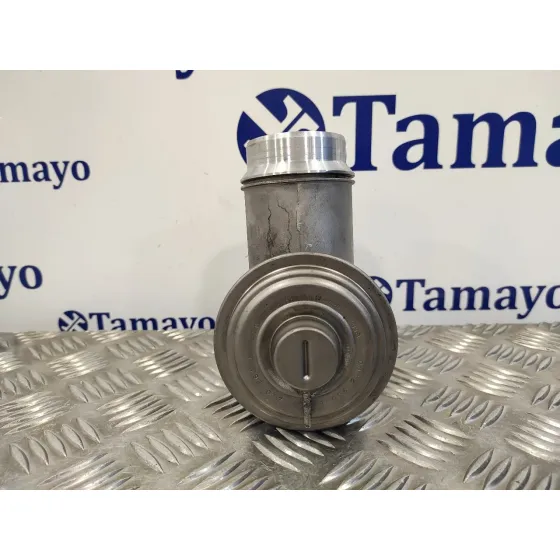 Valvula Egr para Bmw X3 (E83)