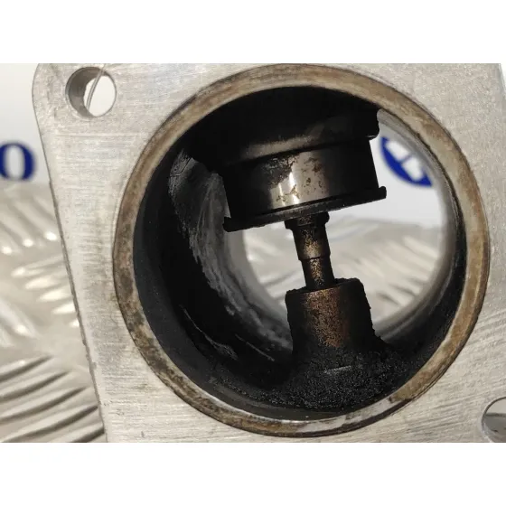 Valvula Egr para Bmw X3 (E83)