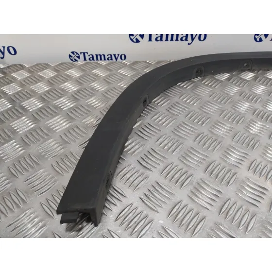 Aletin Delantero Izquierdo para Bmw X1 (E84)