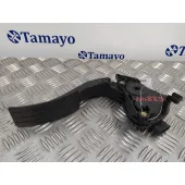 Pedal Acelerador para Renault Clio Iv