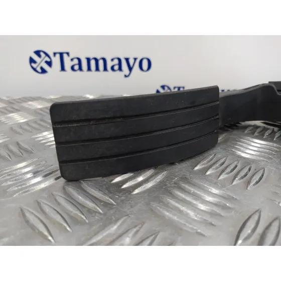 Pedal Acelerador para Renault Clio Iv