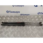 Amortiguadores Maletero / Porton para Renault Clio Iv