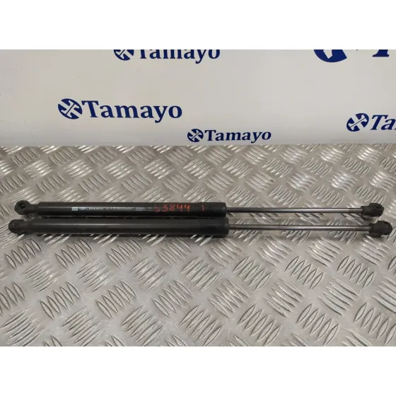 Amortiguadores Maletero / Porton para Renault Clio Iv