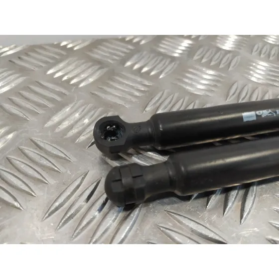 Amortiguadores Maletero / Porton para Renault Clio Iv