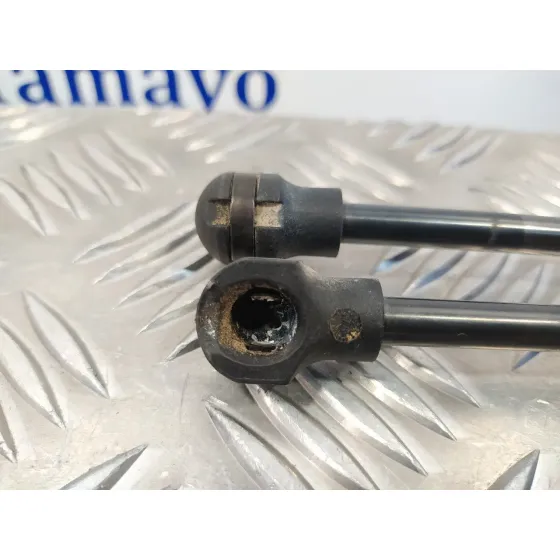 Amortiguadores Maletero / Porton para Dacia Sandero