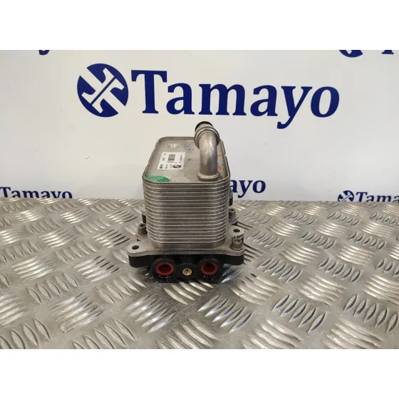 Enfriador Aceite Motor para Bmw X3 (E83)
