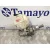 Bomba Freno para Bmw Serie 5 Touring (E39)