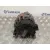 Alternador para Citroën C1