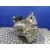 Caja Cambios para Mazda 3 Berlina (Bk)