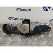 Cinturon Seguridad Trasero Derecho para Subaru Forester S12