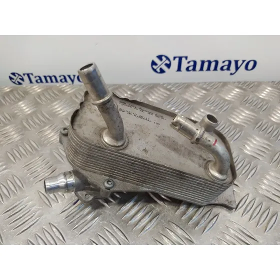 Enfriador Aceite Motor para Bmw X1 (E84)