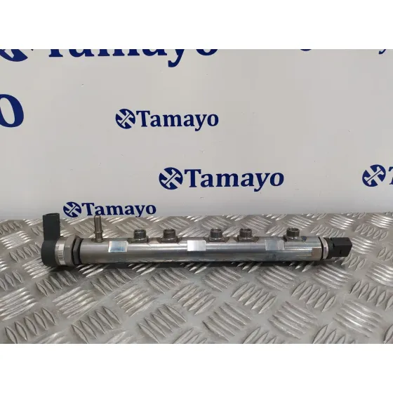 Rampa Inyectora para Bmw X1 (E84)