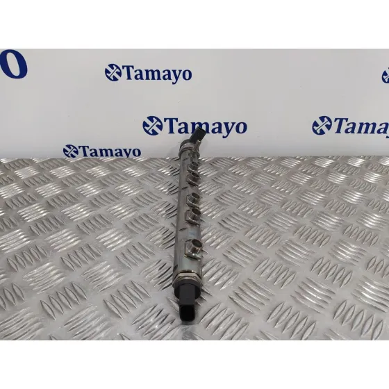 Rampa Inyectora para Bmw X1 (E84)