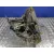 Caja Cambios para Renault Modus