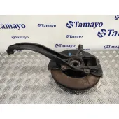 Mangueta Delantera Derecha para Porsche Cayenne (Typ 9Pa)