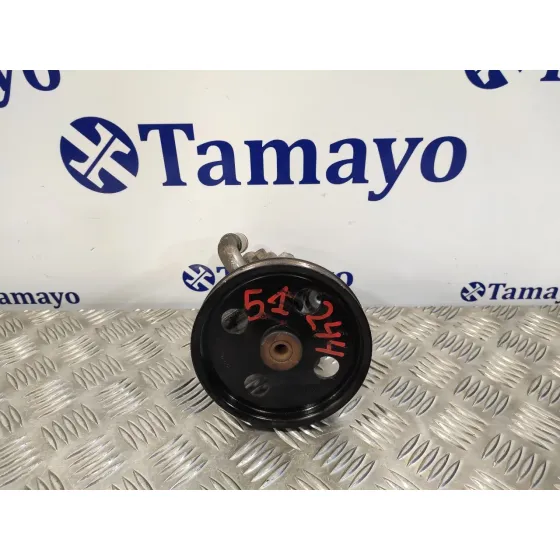 Bomba Direccion para Chrysler Voyager (Rg)