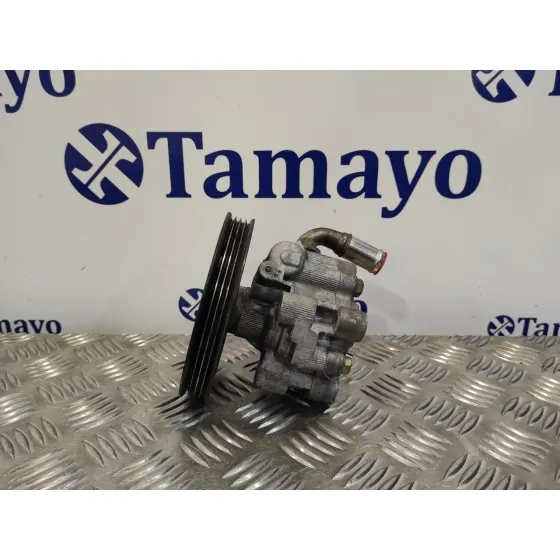 Bomba Direccion para Chrysler Voyager (Rg)