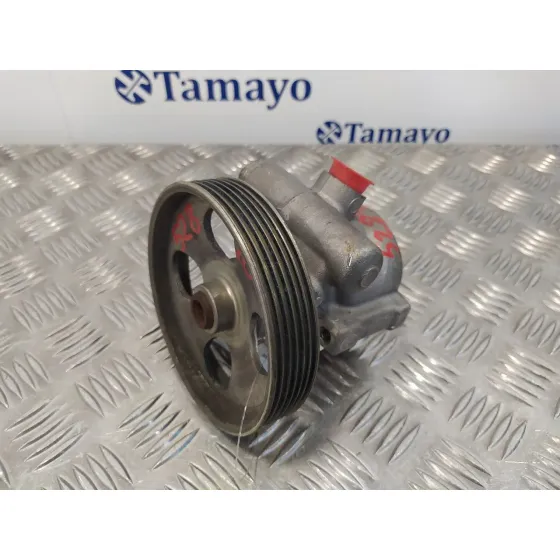 Bomba Direccion para Peugeot 206+