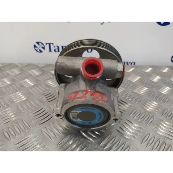 Bomba Direccion para Peugeot 206+