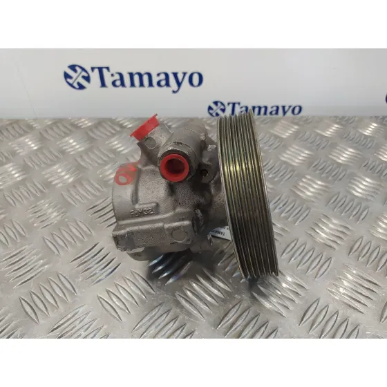 Bomba Direccion para Peugeot 206+